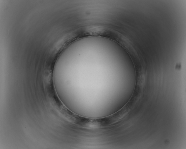 X0000114180604200910221715