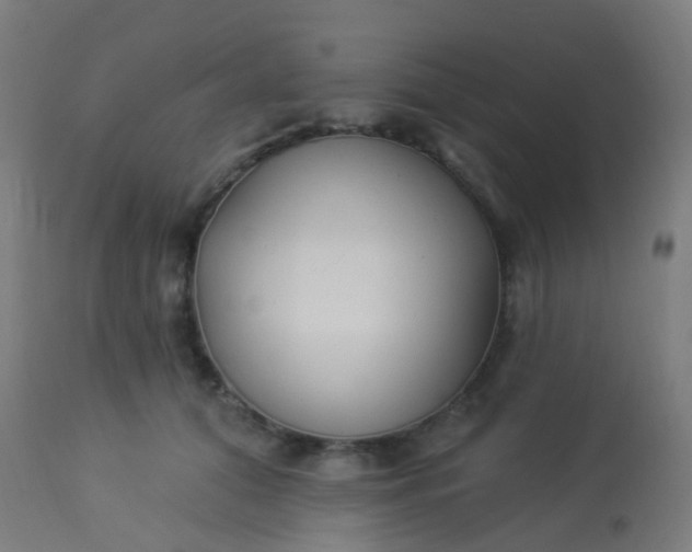 X0000114180608200910221715