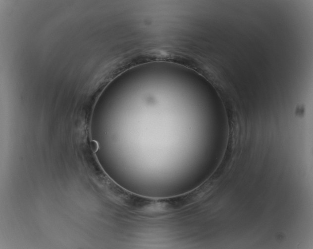 X0000114180609200910221715