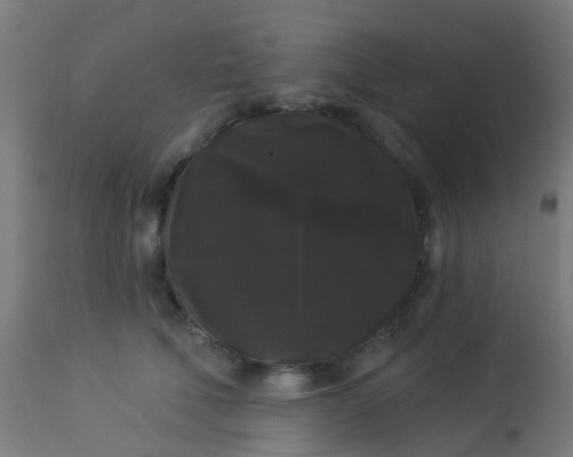 X0000114180610200910221715