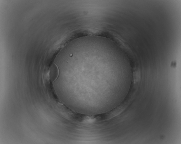 X0000114180613200910221715