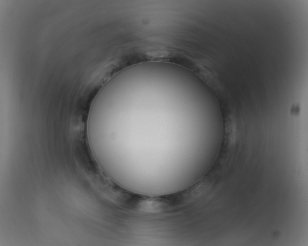 X0000114180614200910221715