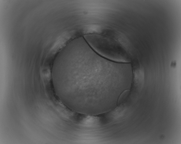 X0000114180617200910221715