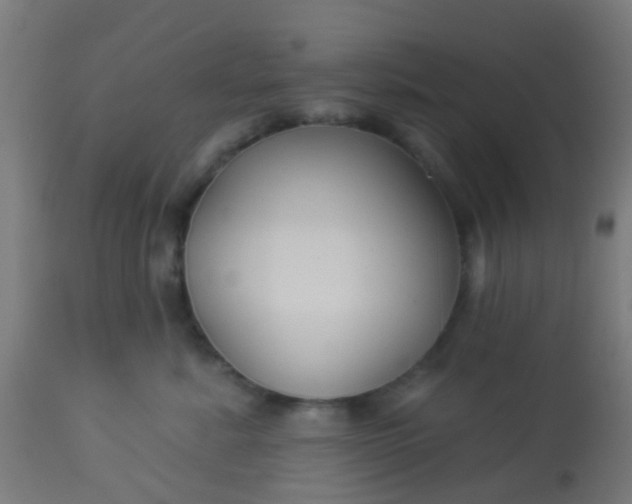 X0000114180619200910221715