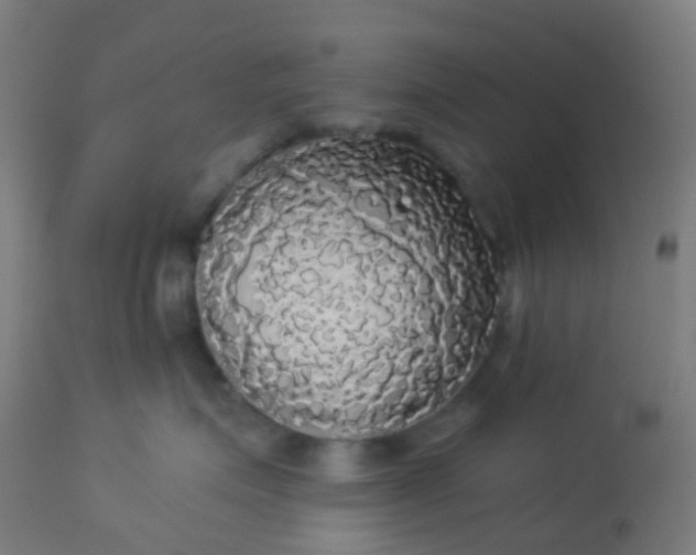 X0000114180623200910221715