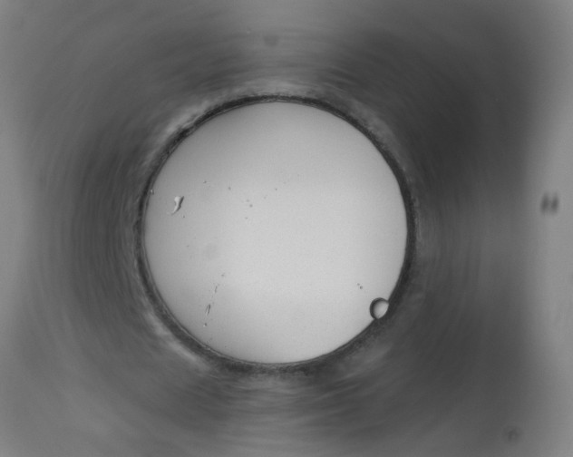 X0000114180625200910221714