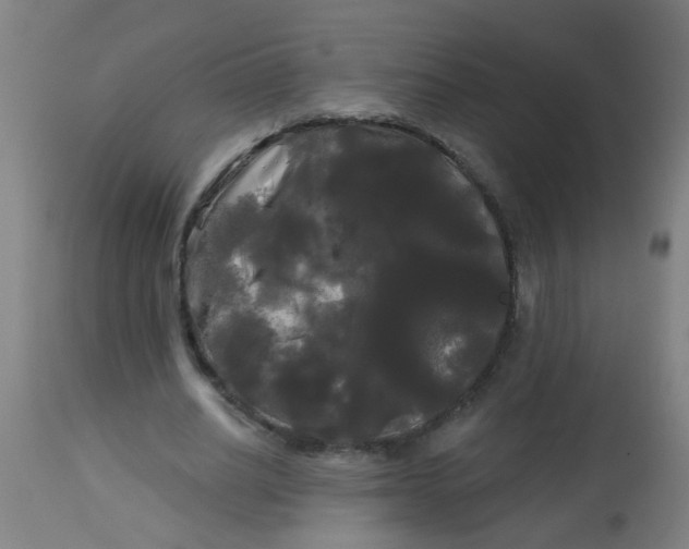 X0000114180630200910221714