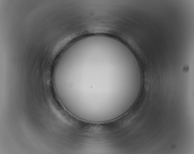 X0000114180631200910221714