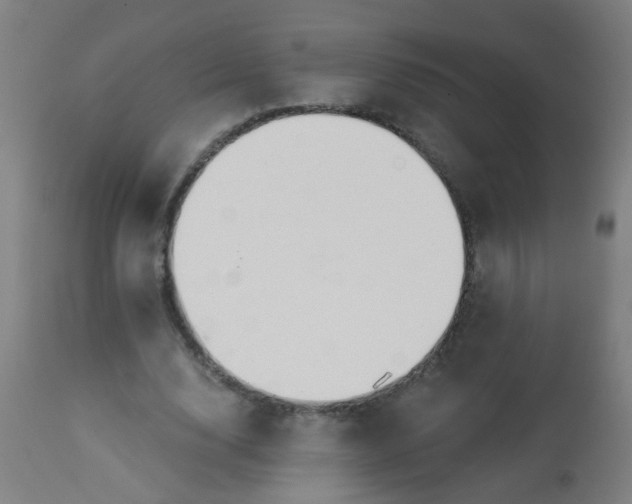 X0000114180632200910221714