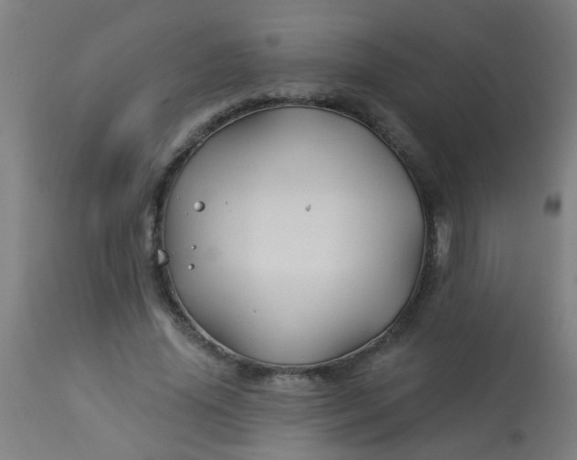 X0000114180636200910221714