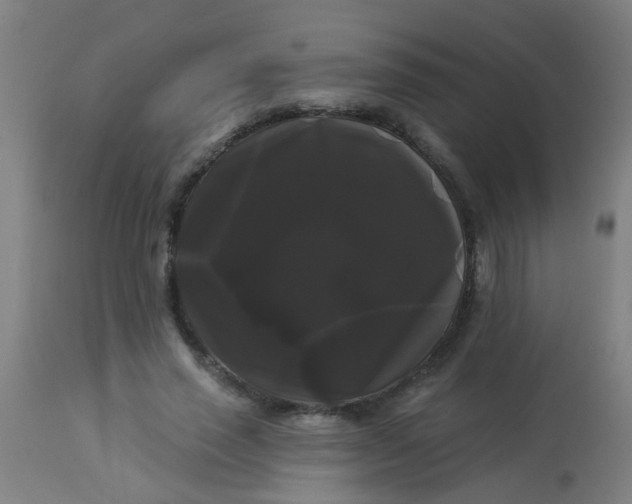 X0000114180637200910221714