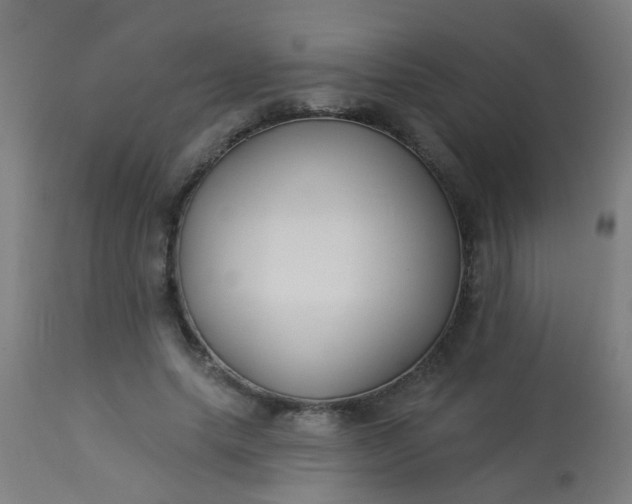 X0000114180639200910221714