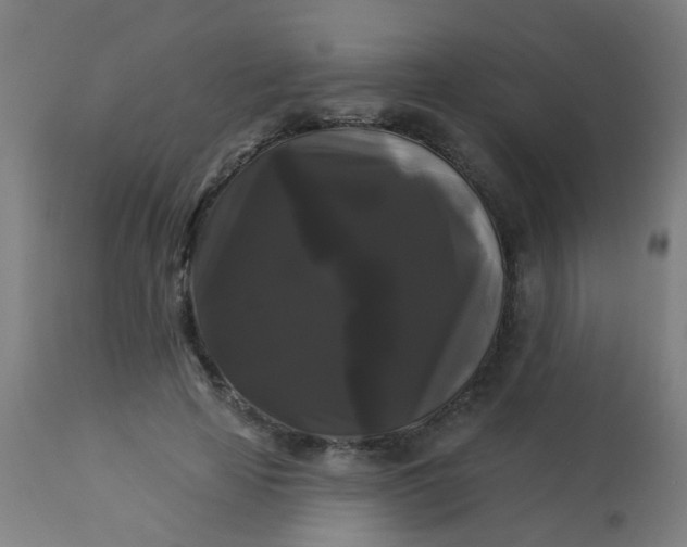 X0000114180641200910221714