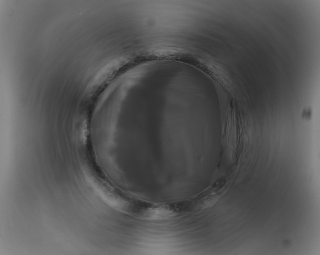 X0000114180644200910221714