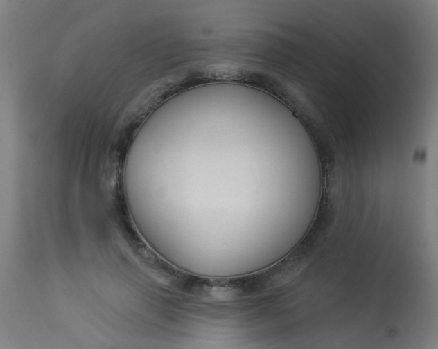 X0000114180645200910221714