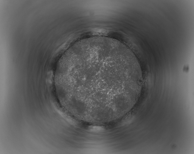 X0000114180649200910221714