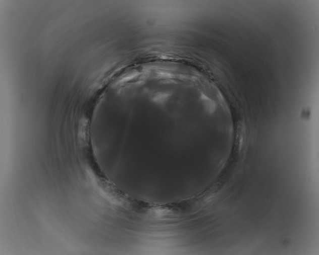 X0000114180650200910221714