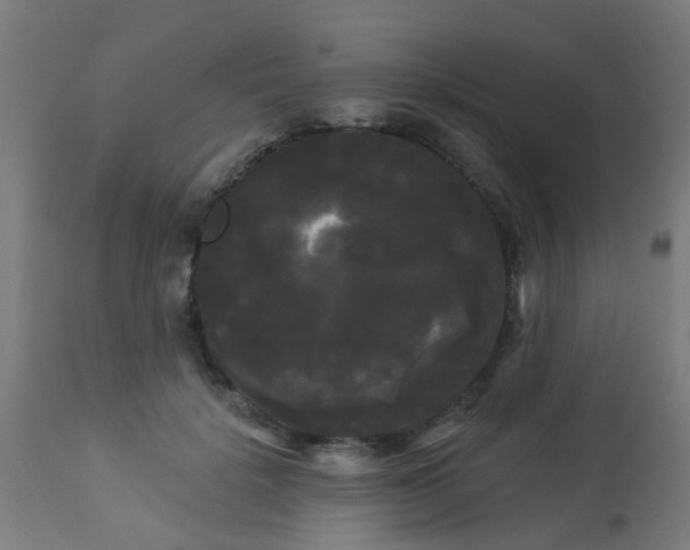 X0000114180652200910221714