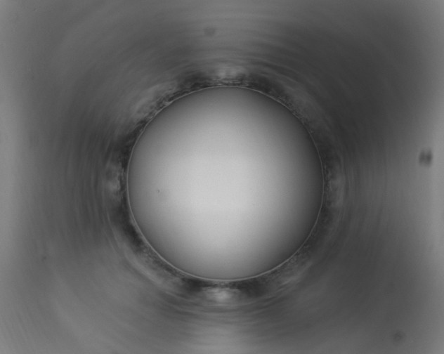 X0000114180654200910221714