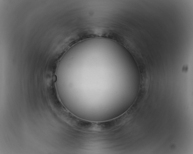 X0000114180656200910221714