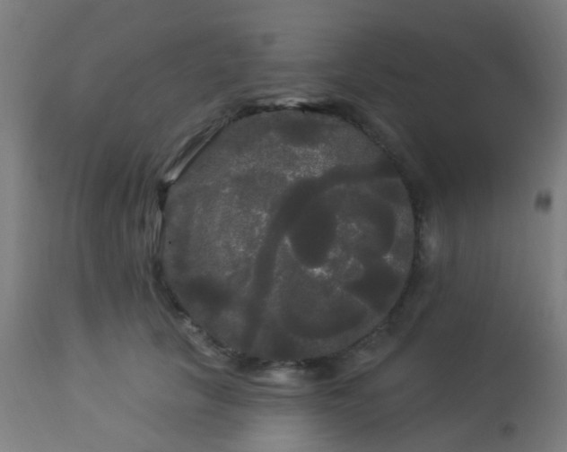 X0000114180657200910221714