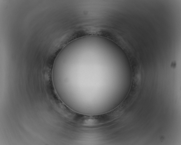 X0000114180658200910221714