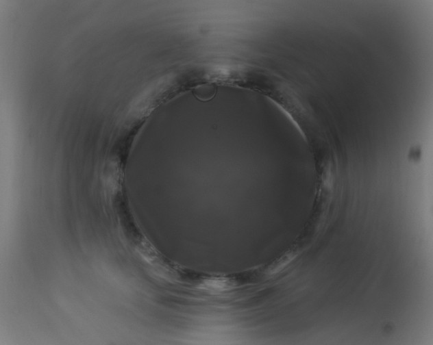 X0000114180659200910221714