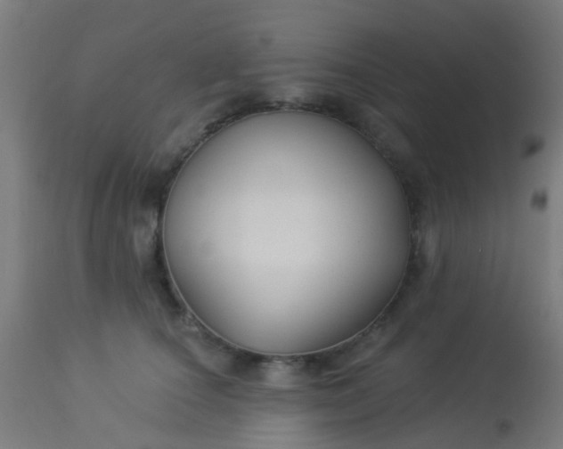 X0000114180660200910221714