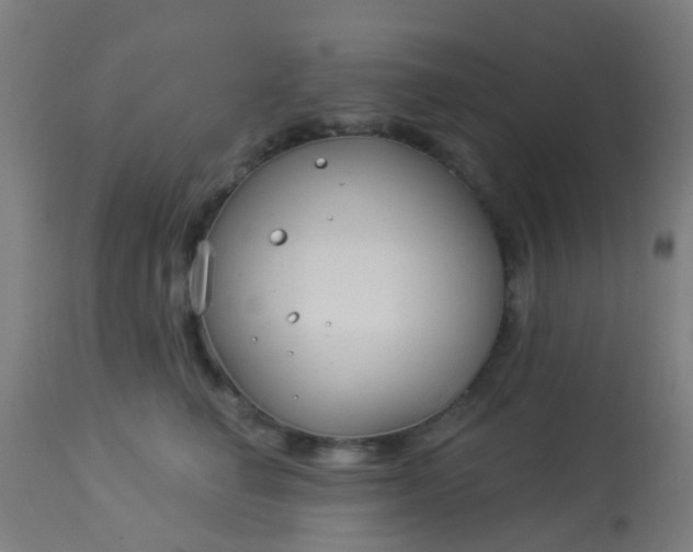 X0000114180662200910221714