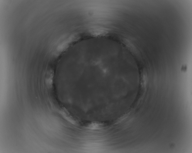 X0000114180664200910221714