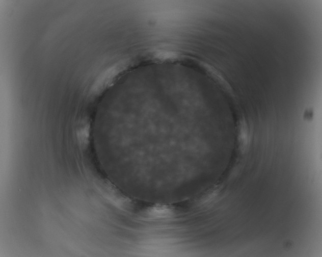 X0000114180668200910221714