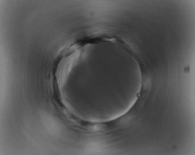 X0000114180670200910221715