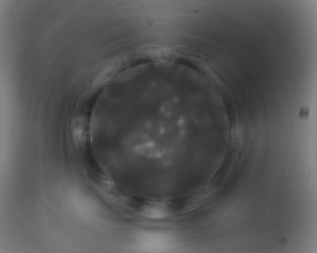 X0000114180671200910221715