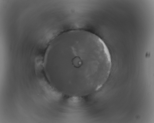 X0000114180672200910221715