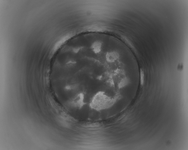 X0000114180675200910221714