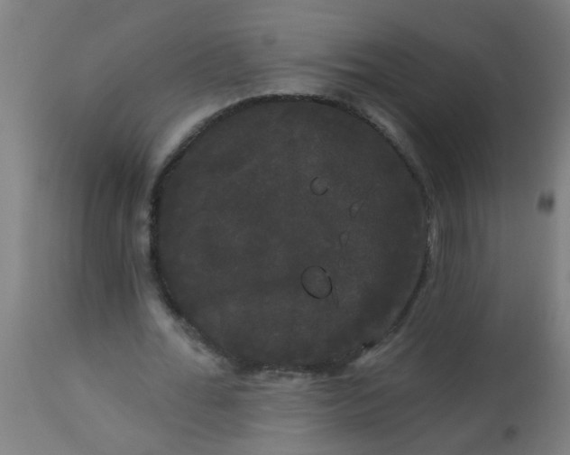 X0000114180676200910221714