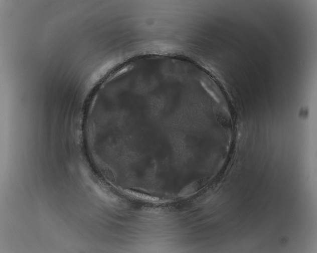 X0000114180679200910221714