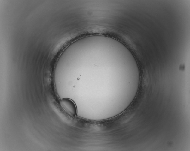 X0000114180683200910221714