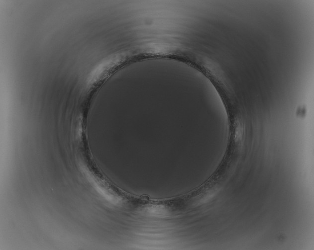 X0000114180685200910221714