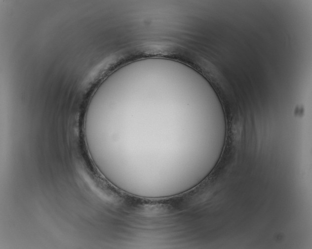 X0000114180686200910221714