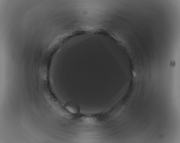 X0000114180689200910221714