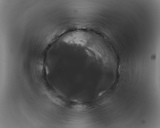 X0000114180691200910221714