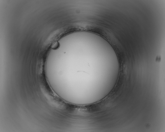 X0000114180694200910221714