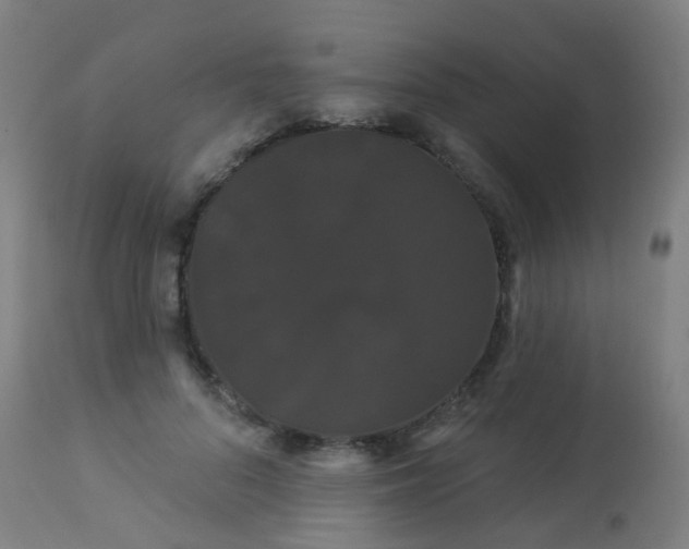 X0000114180696200910221714