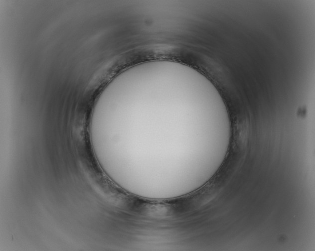 X0000114180698200910221714