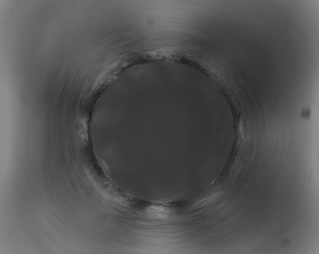 X0000114180699200910221714