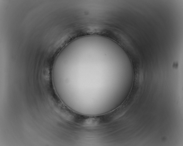 X0000114180700200910221714