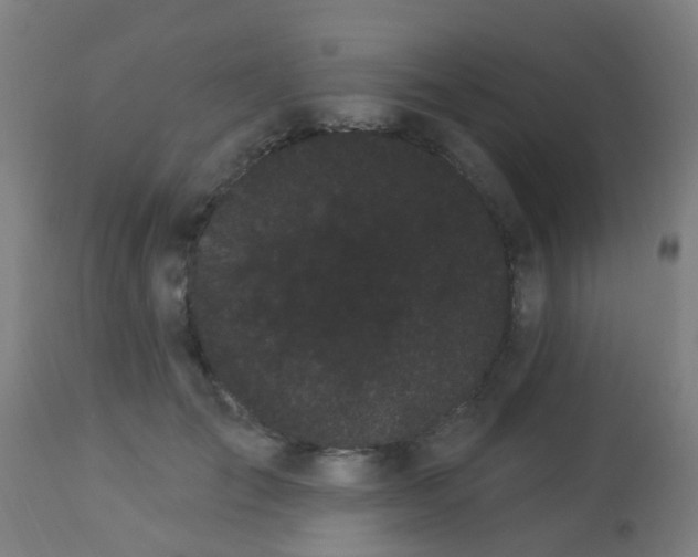 X0000114180701200910221713