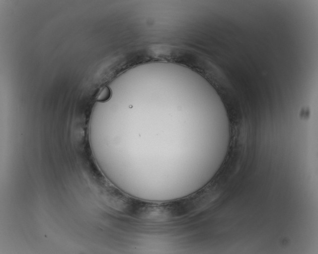 X0000114180702200910221713