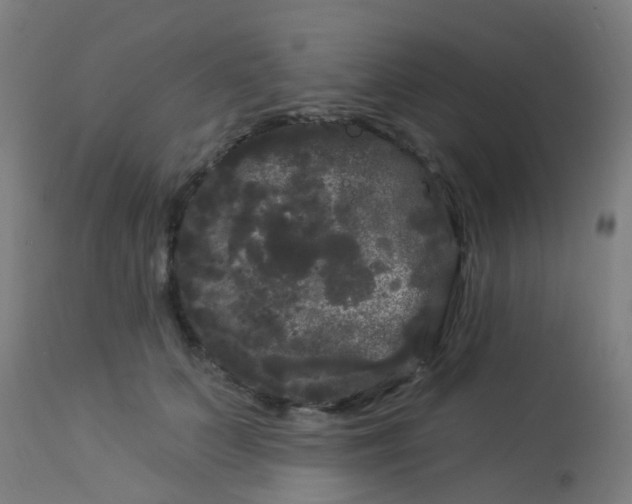 X0000114180703200910221713